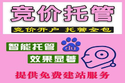 行业应用案例：SEM代运营公司的智慧与策略